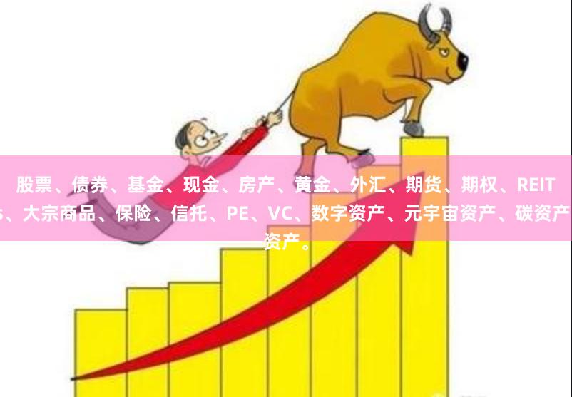 股票、债券、基金、现金、房产、黄金、外汇、期货、期权、REITs、大宗商品、保险、信托、PE、VC、数字资产、元宇宙资产、碳资产。