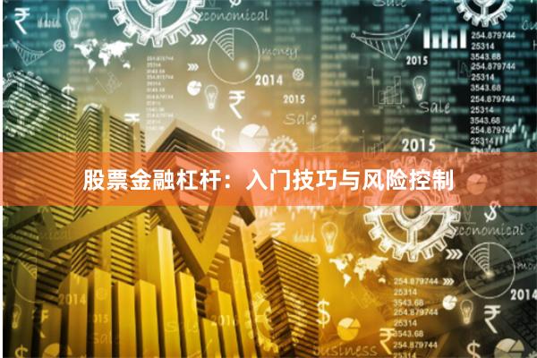 股票金融杠杆：入门技巧与风险控制